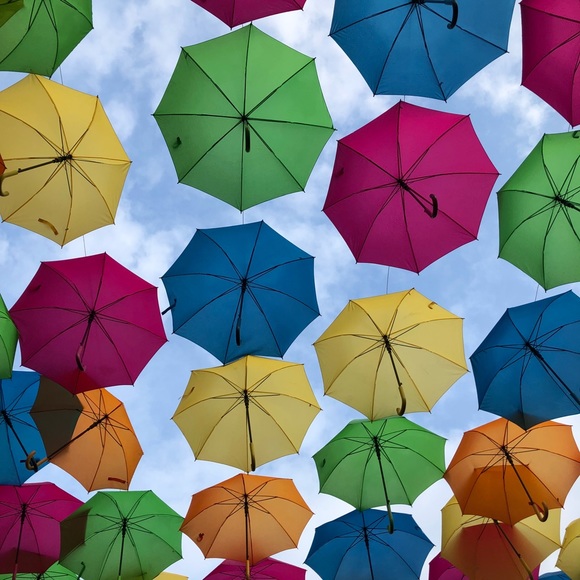 Meet your Posher, Chandta - Picture 1 of 1